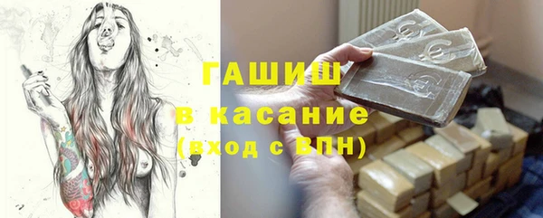 стаф Арсеньев