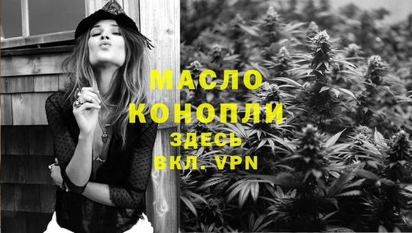 стаф Арсеньев