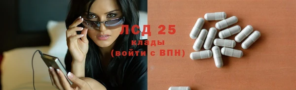 стаф Арсеньев