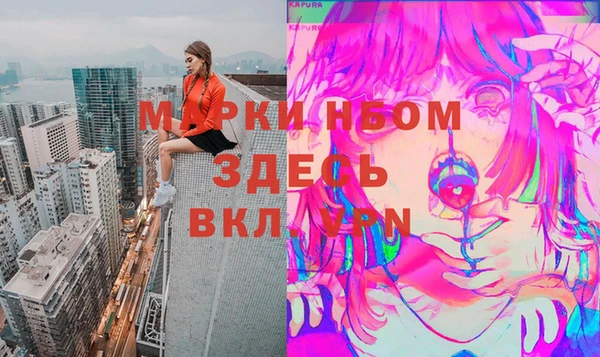 стаф Арсеньев