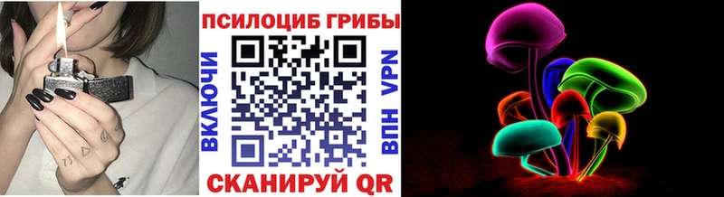 Псилоцибиновые грибы Psilocybine cubensis Елец